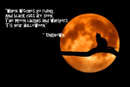 Halloween Quote