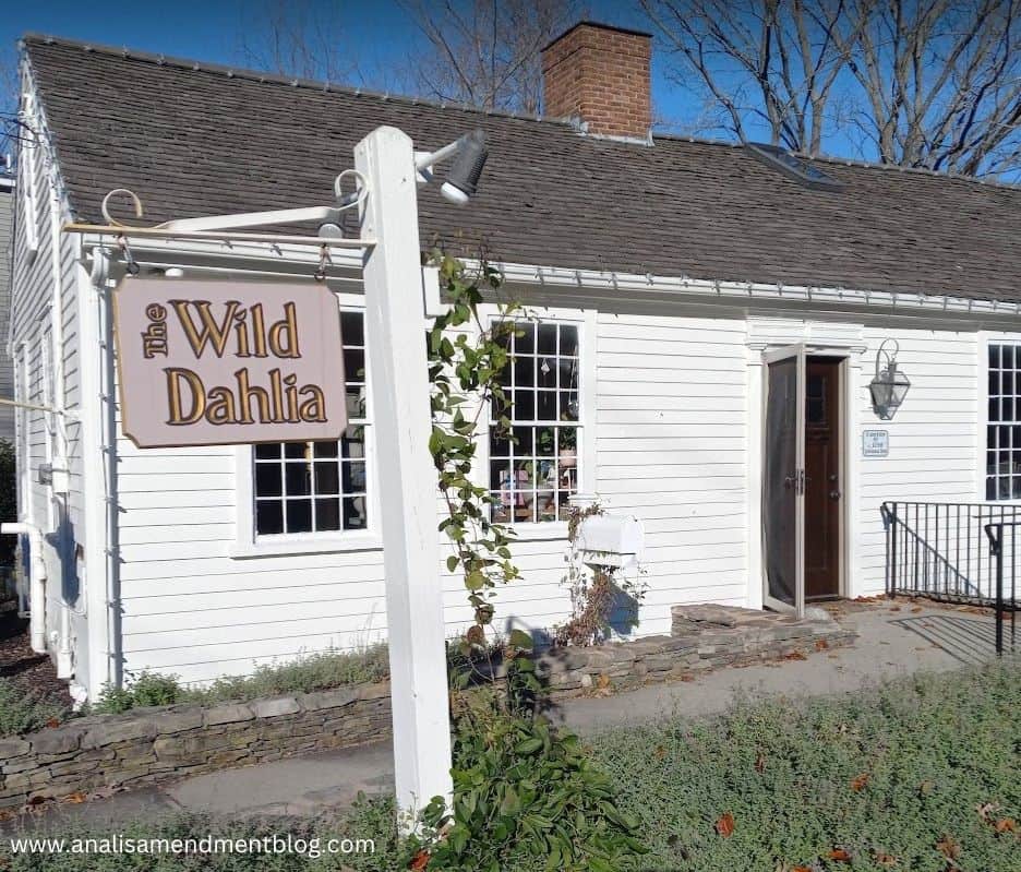 The Wild Dahlia in Easton