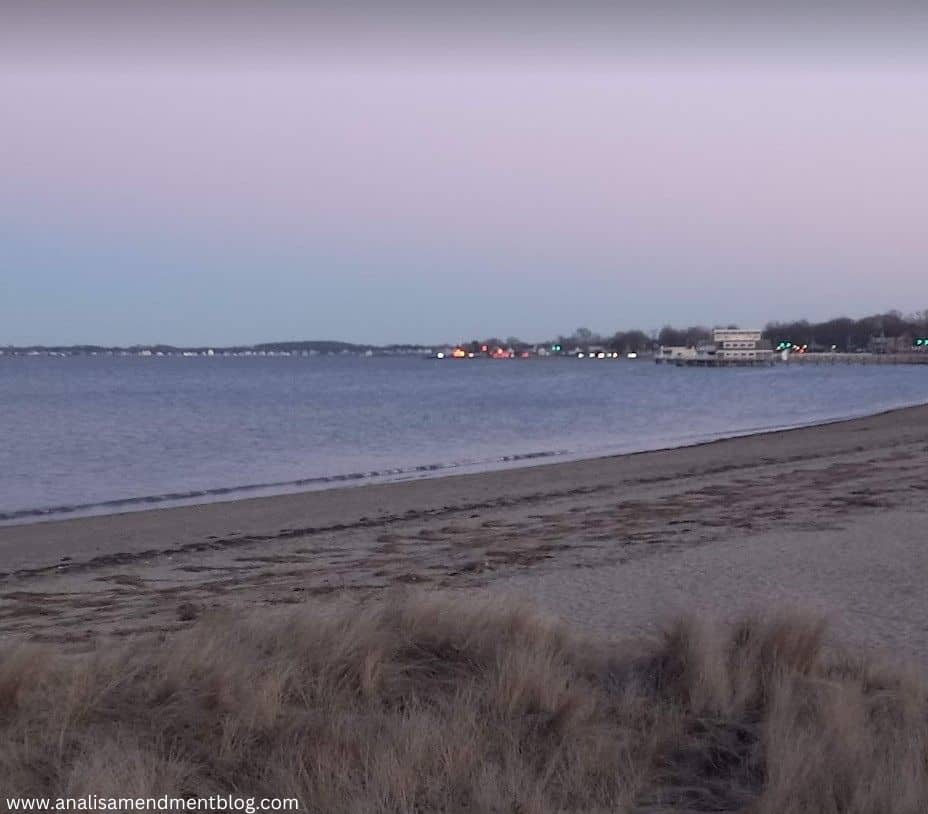 Wollaston Beach with lights in the distance