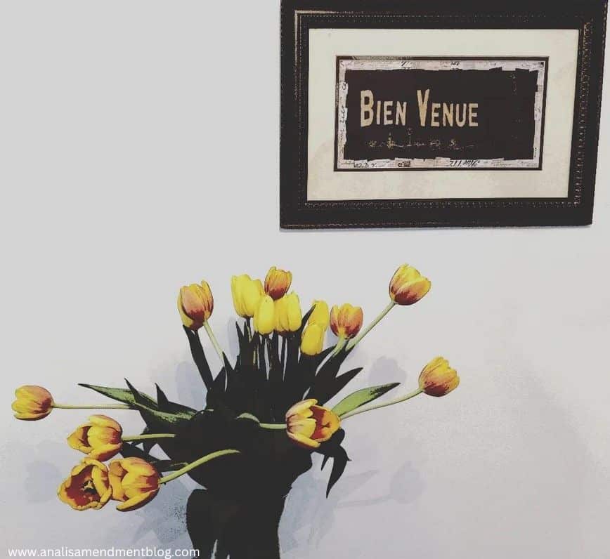tulips bien venue kindness