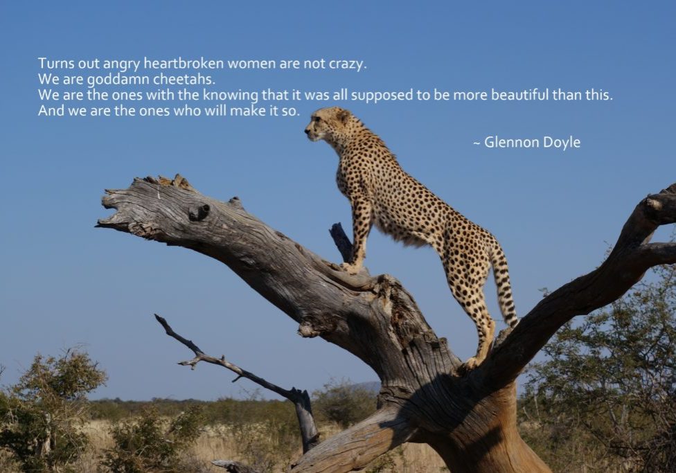Cheetah Quote Glennon Doyle