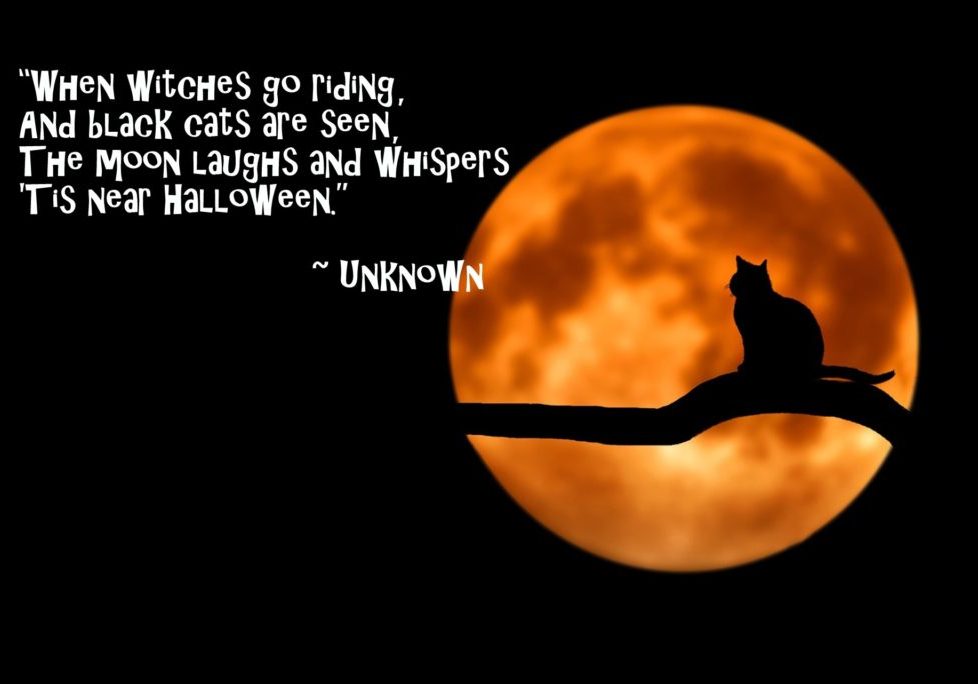 Halloween Quote