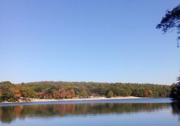 Houghtons Pond