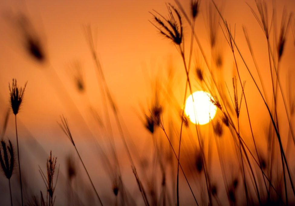 July sun