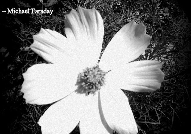 Michael Faraday quote