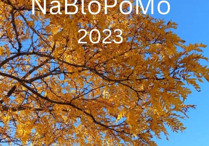 NaBloPoMo 2023