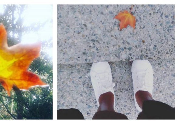 October leaves falling