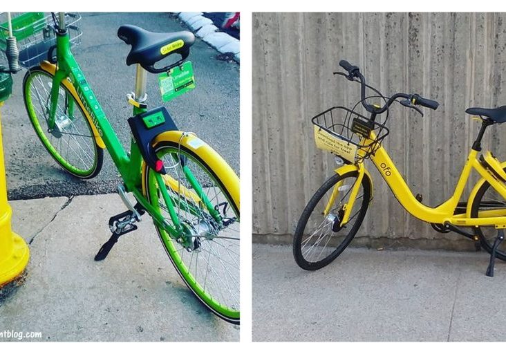 Quincy Bike Sharing