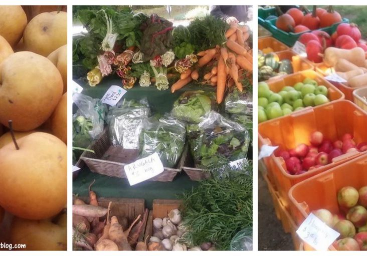 Quincy Farmers Market