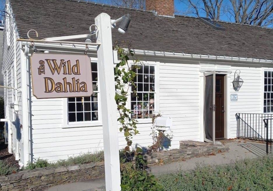 The Wild Dahlia