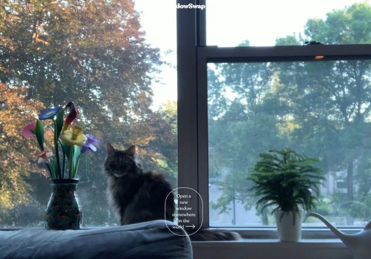 WindowSwap