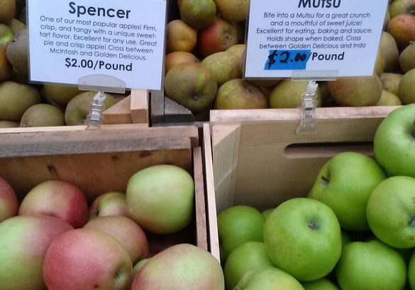 apples