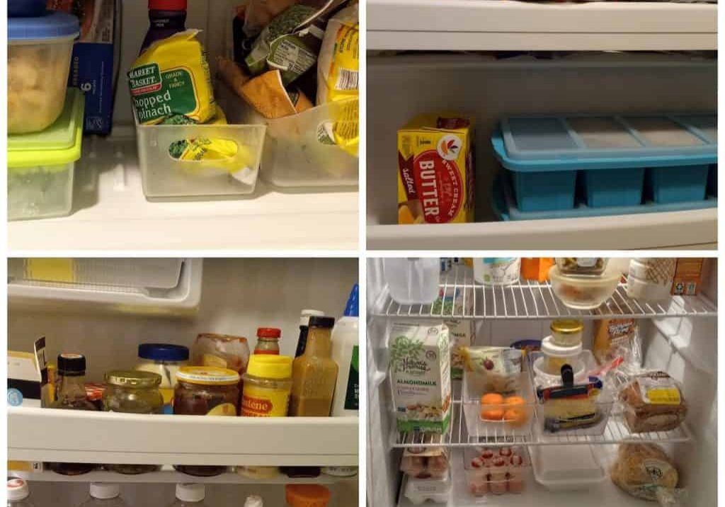 contents of fridge