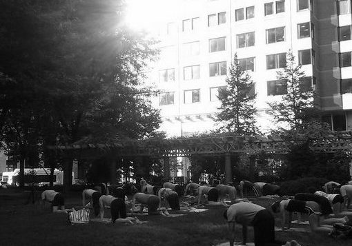 free-yoga-classes-Boston-Greenway