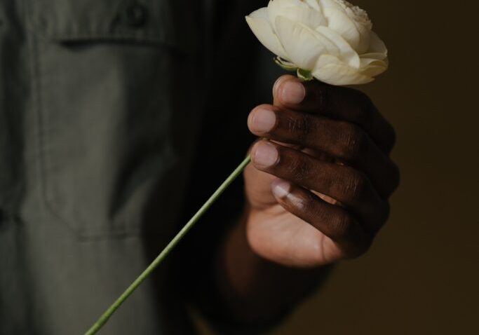 hand of black man holding white rose
