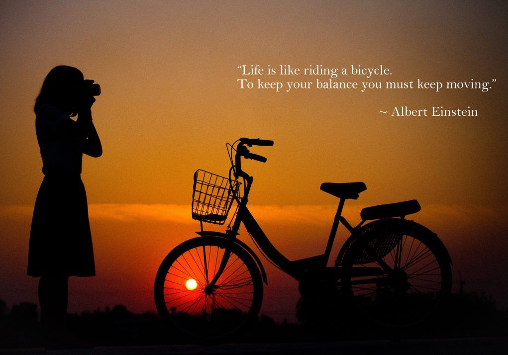 life like a bicycle quote