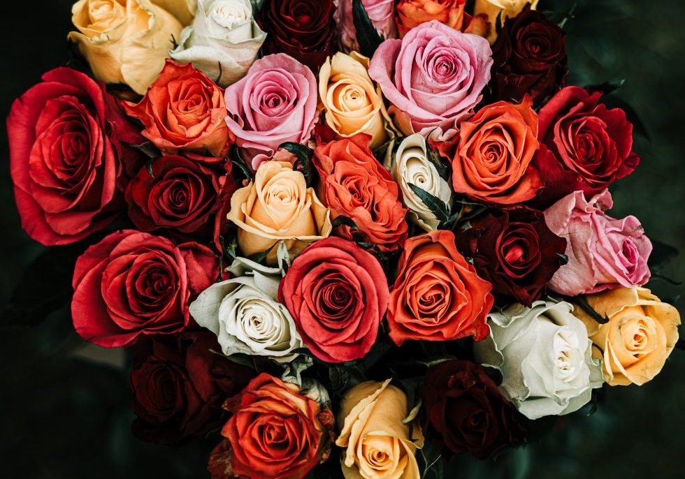 roses