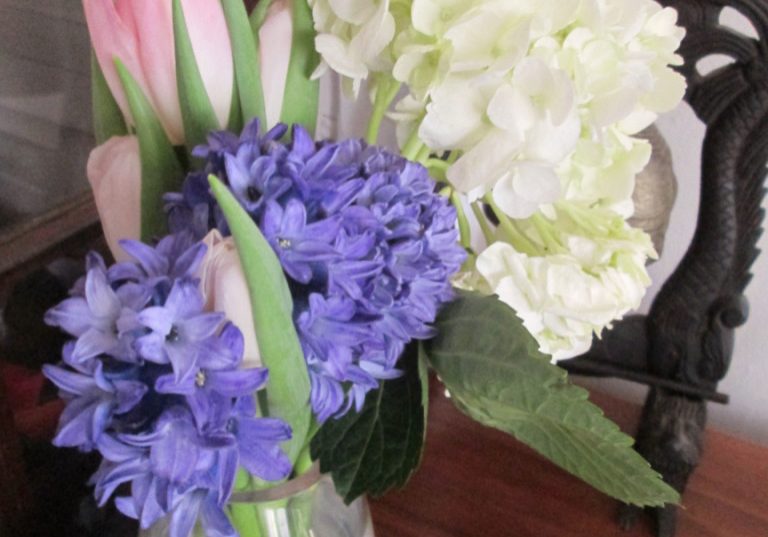 spring flowers