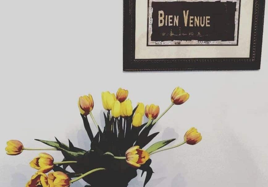 tulips bienvenue
