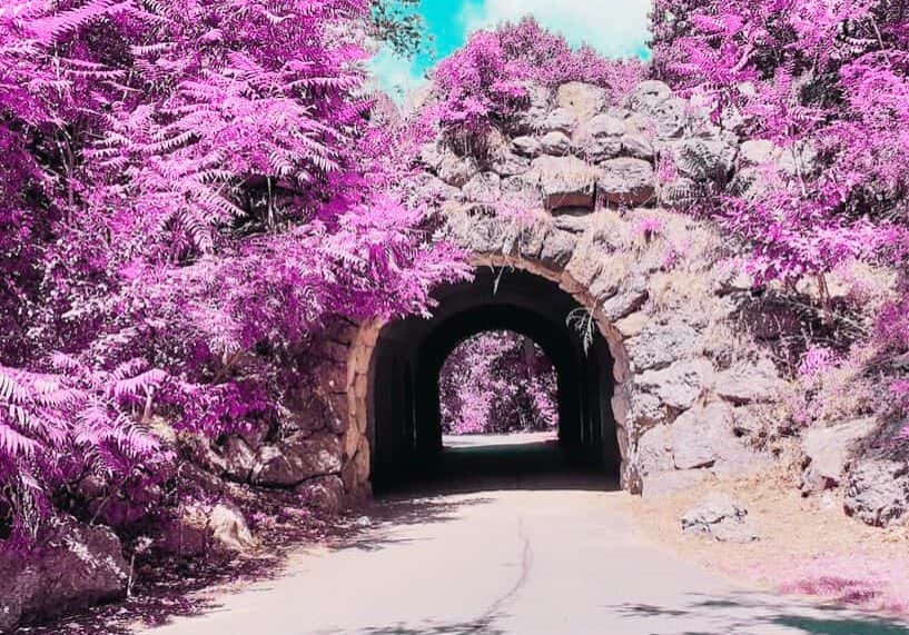 tunnel