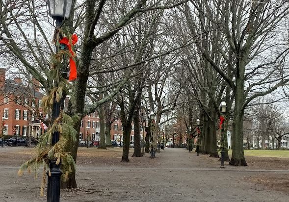 xmas lanterns1