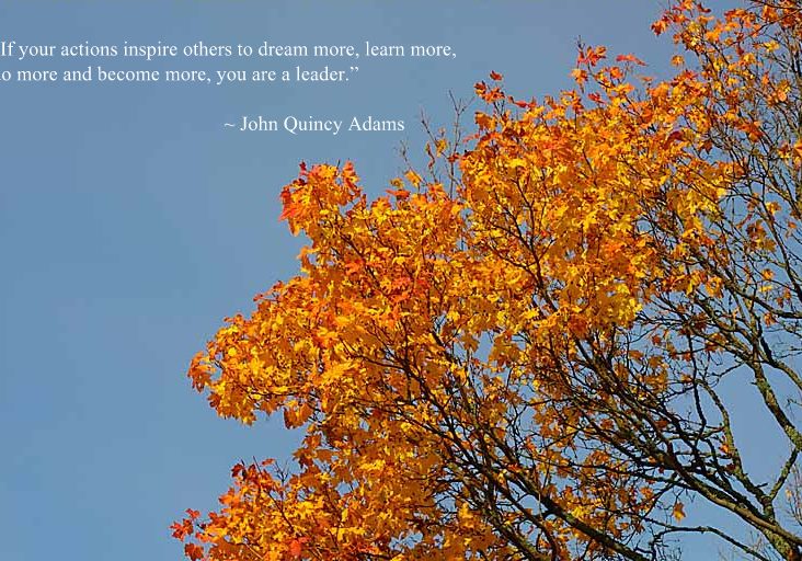 yellow autumn leaves + quote